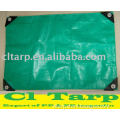 170G PE Tarpaulin with Double Light Green Col for Scaffolding Sheet